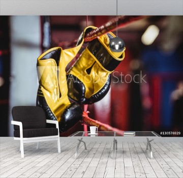 Picture of Yellow boxing gloves hanging off the boxing ring